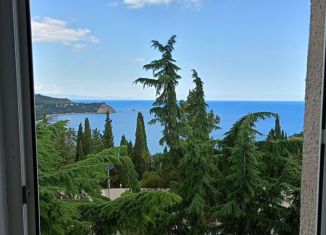 Сдам в аренду 1-ком. квартиру, 40 м2, посёлок городского типа Партенит, Фрунзенское шоссе, 17