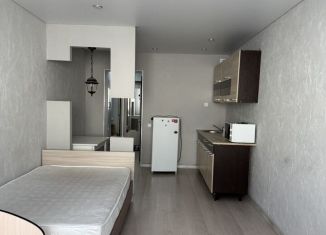 Продаю 1-комнатную квартиру, 29 м2, Октябрьский, улица Кувыкина, 35/5к1