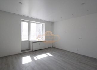 Продажа квартиры студии, 26.1 м2, Мурино, проспект Авиаторов Балтики, 3к1, ЖК Девятый вал