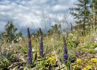 Продажа земельного участка, 15 сот., Татарстан