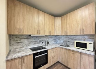 Аренда 1-ком. квартиры, 52 м2, Краснодар, Колхозная улица, 5, микрорайон Табачная Фабрика