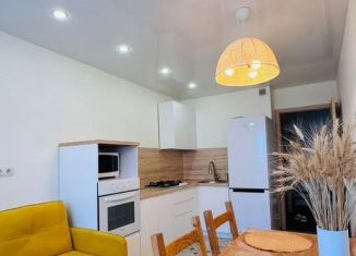 2-комнатная квартира в аренду, 62 м2, Йошкар-Ола, улица Петрова, 28А, микрорайон Мирный