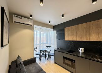 Сдача в аренду 1-комнатной квартиры, 24 м2, Сочи, Ясногорская улица, 16/6к2, микрорайон Бытха