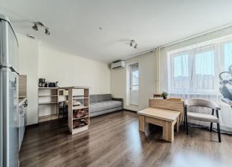 Квартира на продажу студия, 29.5 м2, посёлок Парголово, Толубеевский проезд, 20к1