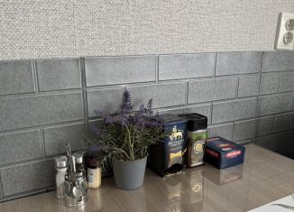 Двухкомнатная квартира в аренду, 45 м2, Элиста, 3-й микрорайон, 24