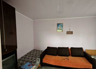 Сдается комната, 20 м2, поселок городского типа Заозерное, улица Олега Кошевого, 19