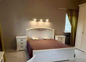 Сдача в аренду дома, 96 м2, Санкт-Петербург, Советский переулок, 4