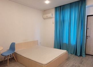 Сдается квартира студия, 26 м2, Сочи, Вишнёвая улица, 43, микрорайон Заречный