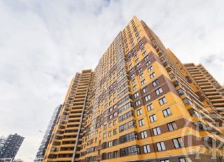 Продается 1-комнатная квартира, 31 м2, Санкт-Петербург, Русановская улица, 18к1, метро Пролетарская