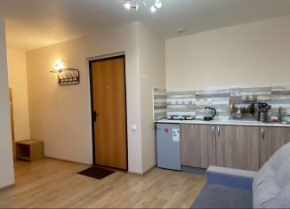 Сдается квартира студия, 23 м2, Республика Башкортостан, переулок Надежды, 7