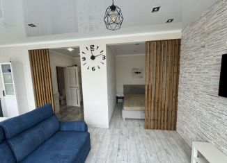 1-комнатная квартира в аренду, 37 м2, Сочи, Пластунская улица, 123Ак2, микрорайон Заречный