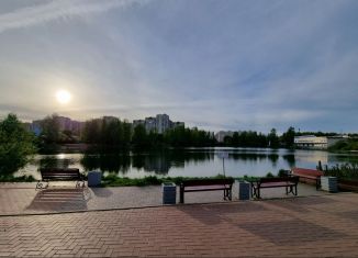 1-комнатная квартира на продажу, 41 м2, деревня Новое Девяткино, Озёрная улица, 6