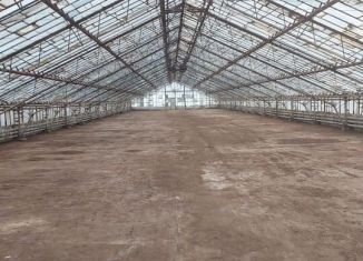 Сдается производство, 1000 м2, Московская область, Подмосковная улица, 24/7