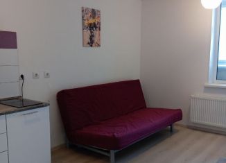 Сдаю в аренду квартиру студию, 25 м2, Екатеринбург, Советская улица, 64, ЖК Цветной Бульвар