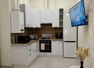 Сдам 1-ком. квартиру, 40.8 м2, Анапа, улица Поликарпова, 2к2