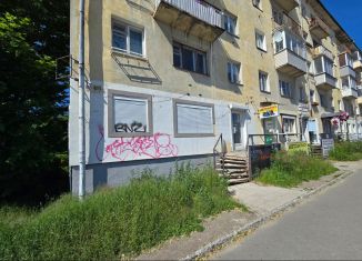 Продам торговую площадь, 38.4 м2, Карелия, Красная улица, 34