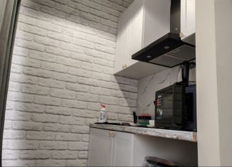 Продажа квартиры студии, 28 м2, Сочи, Виноградная улица, 216А, микрорайон Мамайка