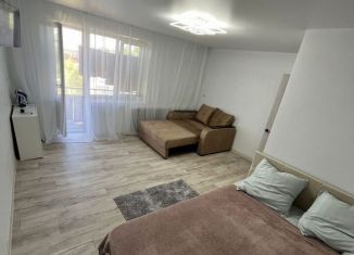 Сдам в аренду 1-ком. квартиру, 33 м2, Павловск, микрорайон Черёмушки, 8