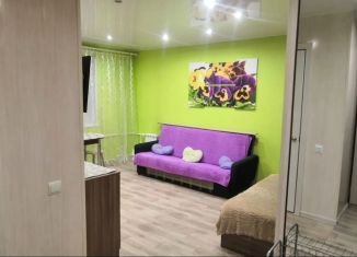 1-комнатная квартира на продажу, 29.1 м2, Камчатский край, проспект Победы, 8/1