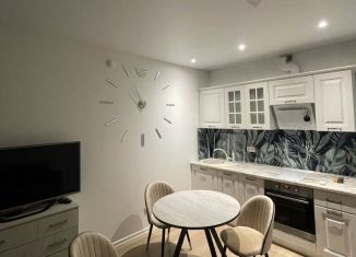 Продаю квартиру студию, 26.8 м2, Люберцы, улица Лётчика Ларюшина, 4к1, ЖК Жулебино Парк