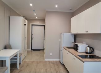 Сдача в аренду квартиры студии, 20 м2, Москва, ЮВАО, Новоостаповская улица, 20
