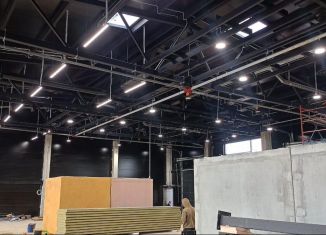 Продажа помещения свободного назначения, 420 м2, Санкт-Петербург, Зотовский проспект, 9, муниципальный округ Ржевка