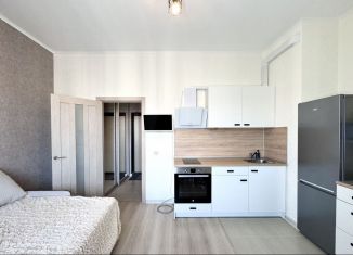 Квартира на продажу студия, 22.4 м2, Мурино, бульвар Менделеева, 11к2, ЖК Юпитер