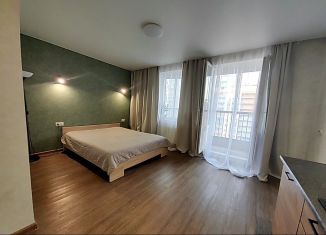 Квартира на продажу студия, 24.5 м2, Мурино, улица Шувалова, 18/8, ЖК Территория