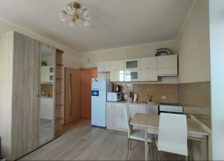 Квартира в аренду студия, 32 м2, Санкт-Петербург, улица Верности, 17