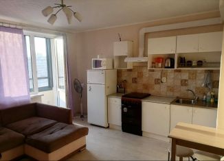 Сдаю квартиру студию, 24 м2, Мурино, Екатерининская улица, 6к1, ЖК Виктория