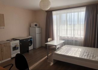 Продам квартиру студию, 25 м2, Челябинск, улица Петра Сумина, 14, Центральный район