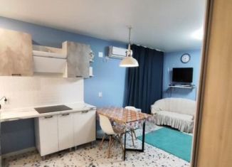 Сдача в аренду дома, 28 м2, станица Тамань, улица Карла Либкнехта, 91