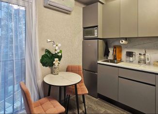 Продаю квартиру студию, 20 м2, Сочи, улица Пирогова, 26Б/1, микрорайон Новый Сочи