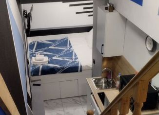 Сдача в аренду квартиры студии, 14 м2, Санкт-Петербург, Суворовский проспект, 39