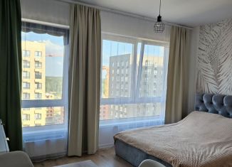 Сдаю в аренду квартиру студию, 25.2 м2, деревня Новое Девяткино, Главная улица, 8