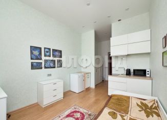Продам квартиру студию, 22.6 м2, Новосибирск, Октябрьский район, улица Декабристов, 99