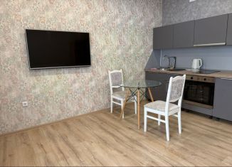 Сдается 1-комнатная квартира, 30 м2, Татарстан, улица Рауиса Гареева, 107