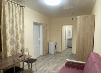 Аренда дома, 22 м2, село Мысхако, улица Крупской