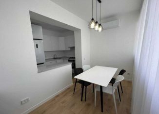 Сдам в аренду однокомнатную квартиру, 50 м2, Татарстан, улица Чингиза Айтматова, 1