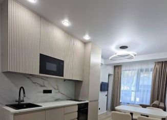 Продается однокомнатная квартира, 30 м2, Сочи, Пластунская улица, 104Бк3, микрорайон Заречный