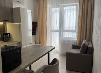 Сдам в аренду 1-ком. квартиру, 35.1 м2, Темрюк, Дальняя улица, 30/1