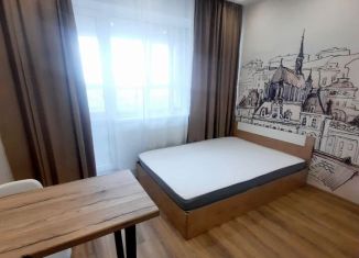 Сдаю квартиру студию, 25 м2, Тула, улица Маршала Полубоярова, 4, Привокзальный территориальный округ