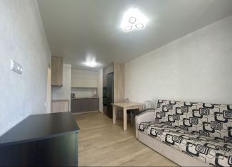Сдаю в аренду 2-комнатную квартиру, 37.6 м2, Петрозаводск, улица Энтузиастов, 9к1