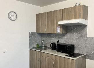 Аренда квартиры студии, 25 м2, Новосибирск, Кубовая улица, 96, метро Заельцовская