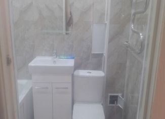 Сдам 1-комнатную квартиру, 40 м2, Бор, микрорайон Красногорка, 17