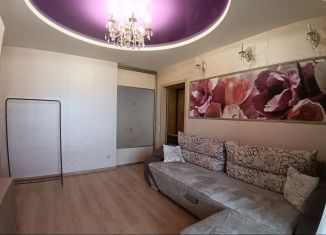 Сдается в аренду 1-комнатная квартира, 41 м2, Йошкар-Ола, улица Петрова, 27, микрорайон Молодёжный