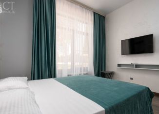 Продажа квартиры студии, 20.5 м2, Сочи, Курортный проспект, 84А, микрорайон Яна Фабрициуса