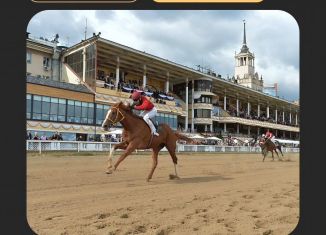 Продаю 1-комнатную квартиру, 55.1 м2, Махачкала, проспект Насрутдинова, 162, Ленинский внутригородской район