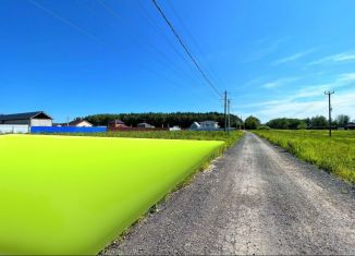 Продажа участка, 6 сот., деревня Васькино, Васильковая улица