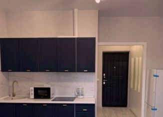 Квартира на продажу студия, 10.7 м2, Москва, Первомайская улица, 94А, ВАО